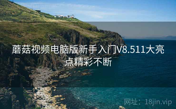 蘑菇视频电脑版新手入门V8.511大亮点精彩不断